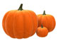 Pumpkins | Primrose Vale Farm Shop & PYO | Gloucestershire