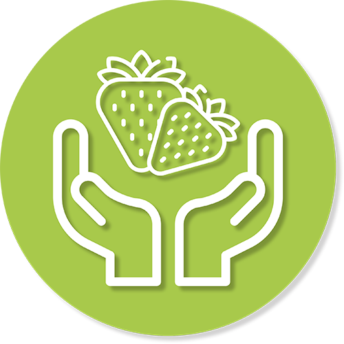 Primrose-Vale-Farm-Shop---Summer---Pick-Your-Own---PYO