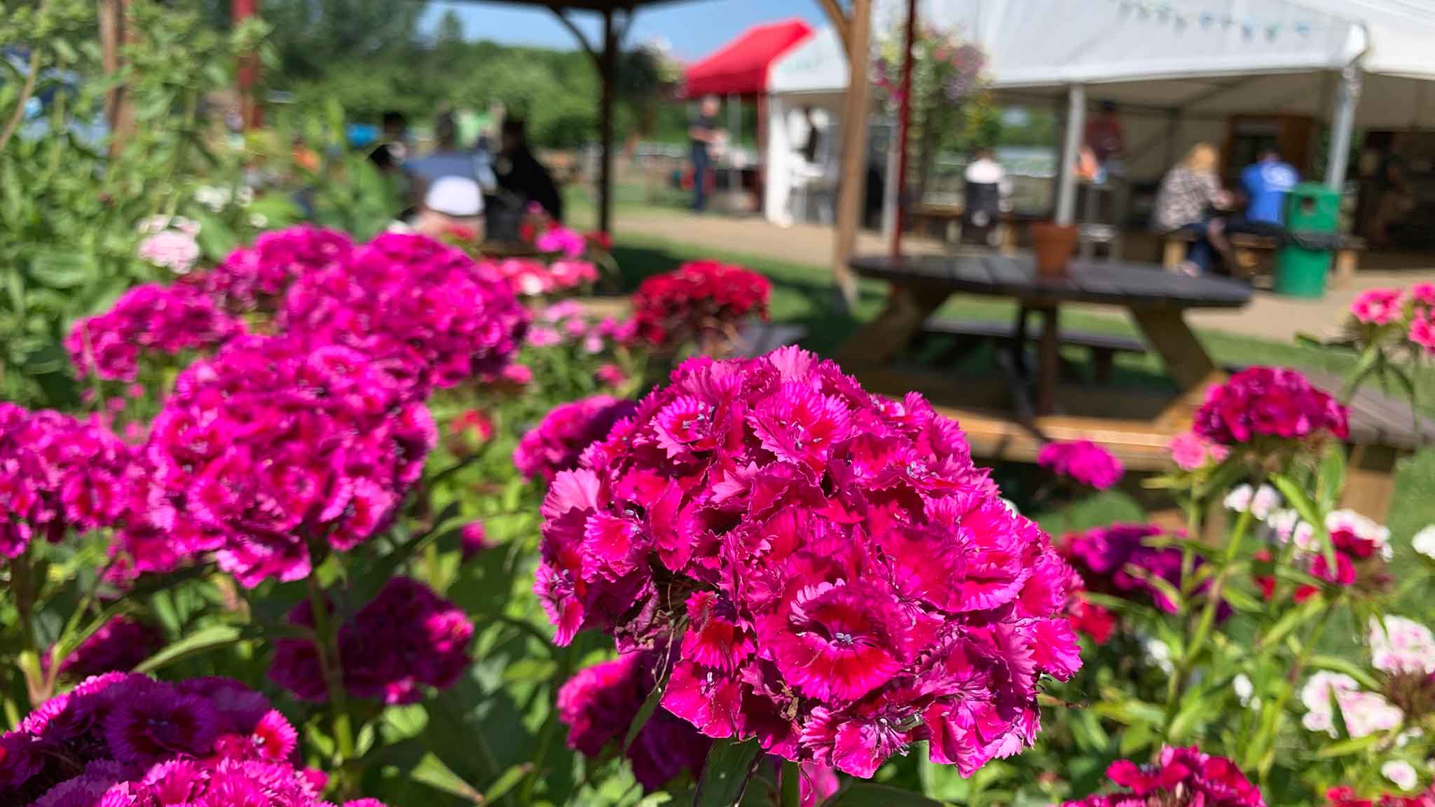 potting-shed-cafe-play-area-primrose-vale-farm-shop-pyo-cheltenham