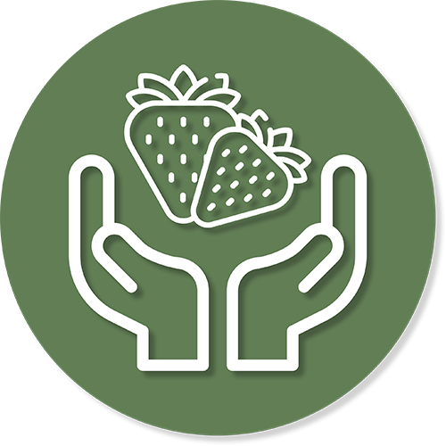 pyo-strawberries-fruit-primrose-vale-farm-shop-cheltenham